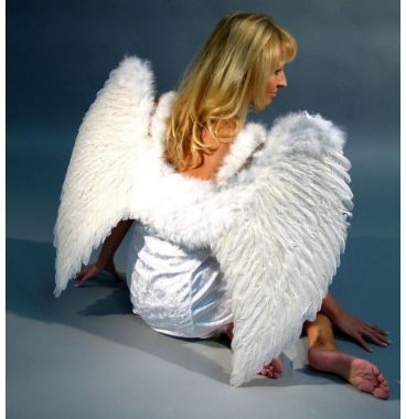 Andělská Křídla 65x80cm