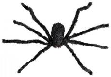 Pavouk - HALLOWEEN 75cm