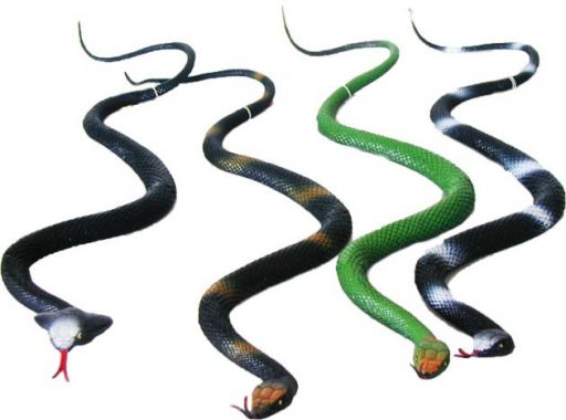 Gumový Had