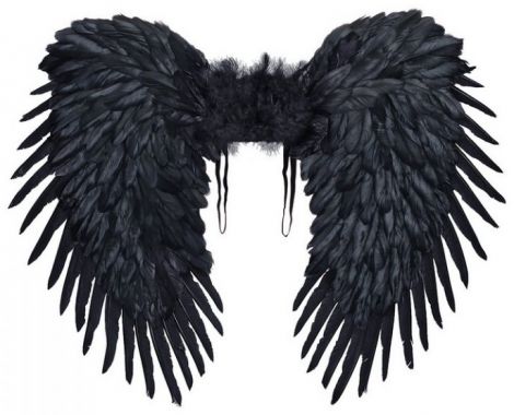 Křídla černá péřová - 80x65cm