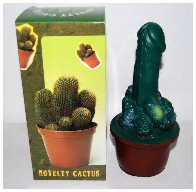 Kaktus sexy