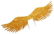 Křídla péřová zlatá