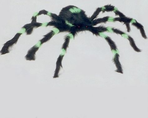 Pavouk 70cm