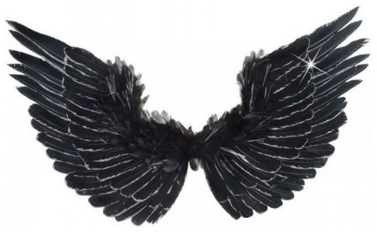 Křídla černá péřová