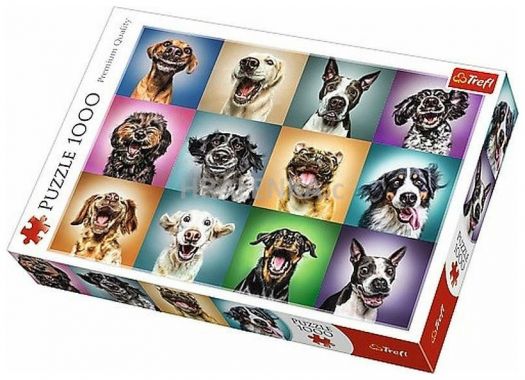 Puzzle 1000 dílků Legrační psí portréty